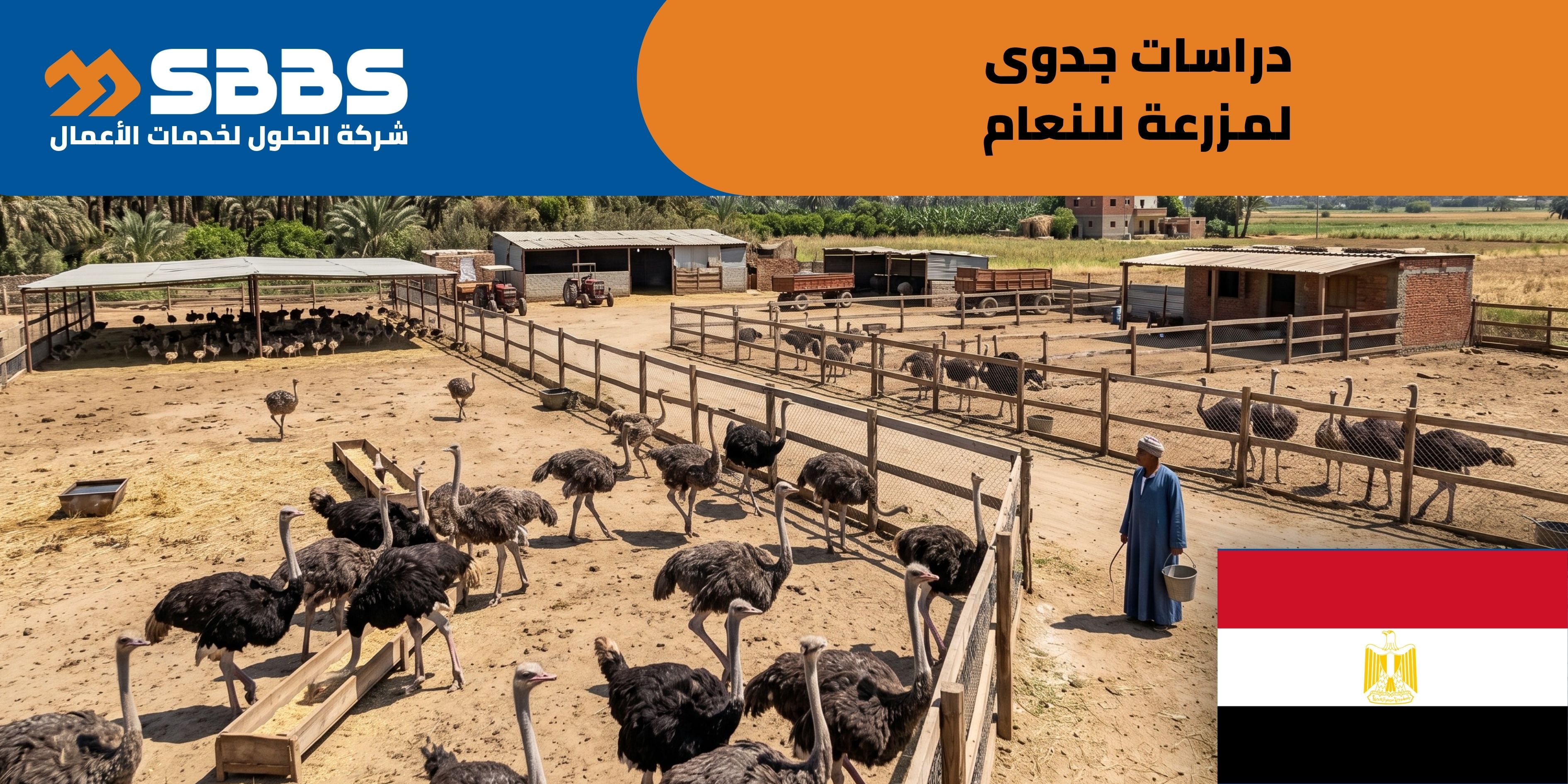 دراسة إنشاء مزرعة للنعام (مصر 🇪🇬)